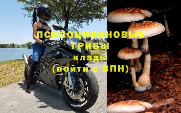 jwh Магас