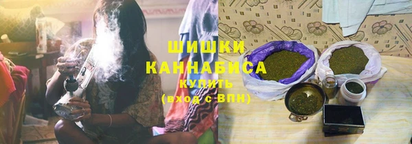 сатива Магадан