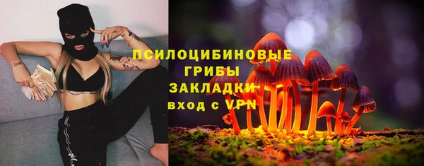 мескалин Майский
