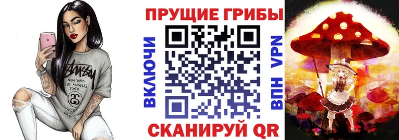 купить закладку  Пенза  Галлюциногенные грибы Psilocybe 
