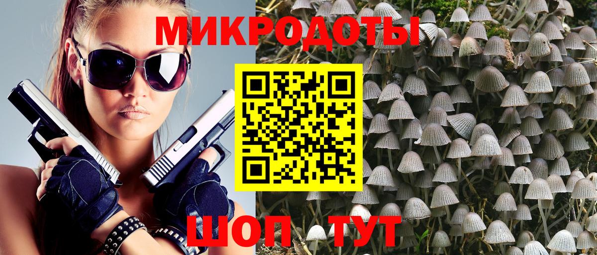 Псилоцибиновые грибы мухоморы Пенза