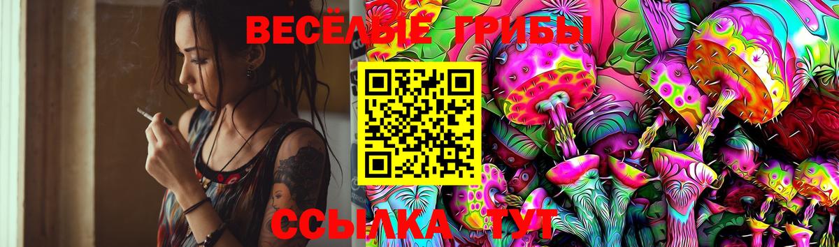 Псилоцибиновые грибы MAGIC MUSHROOMS  Галлюциногенные грибы мухоморы  Пенза  наркотики  Вход с VPN 