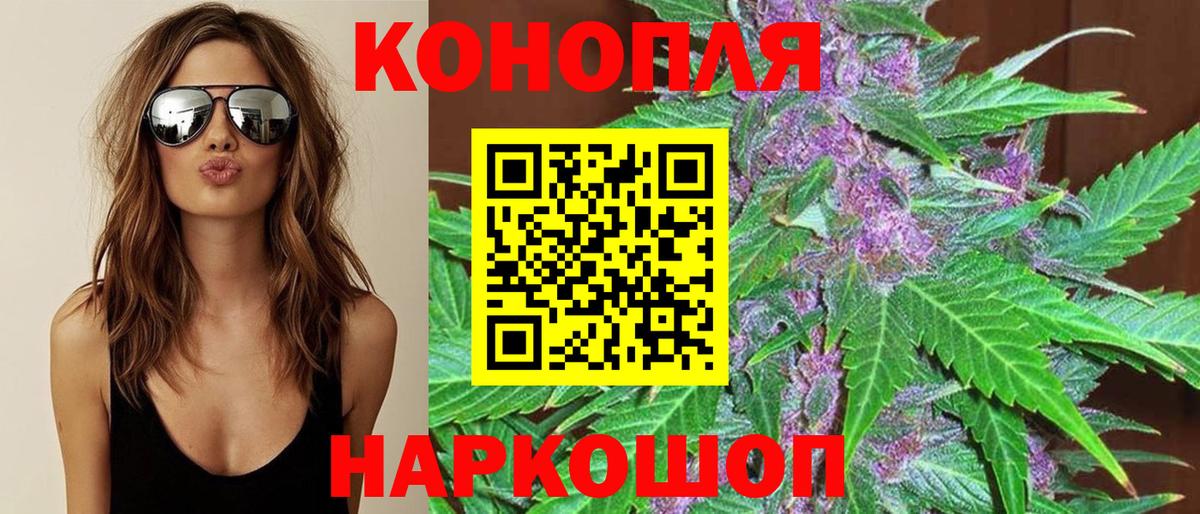 Бошки Шишки тримм  Канабис OG Kush  Каннабис индика  Шишки марихуана OG Kush  Пенза 